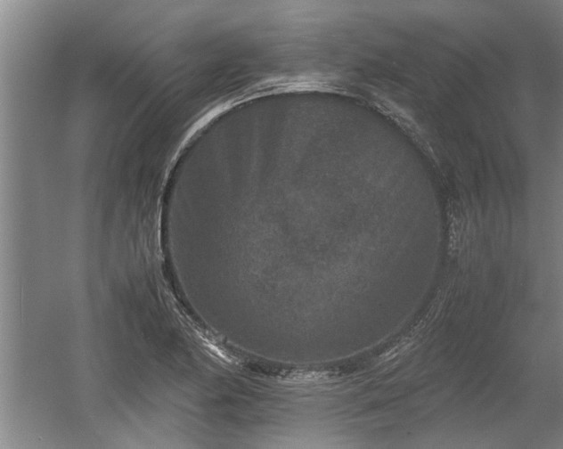 X0000060551174200511101529