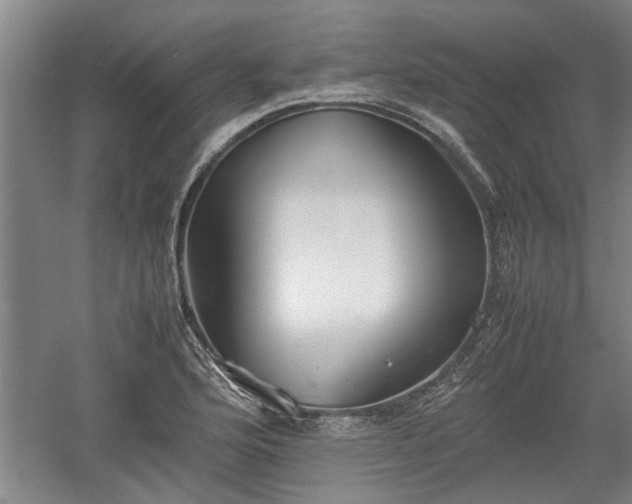 X0000060551176200511101529