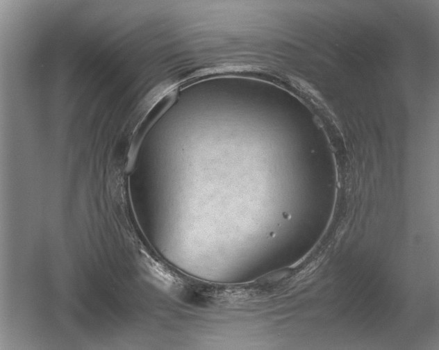 X0000060551177200511101529