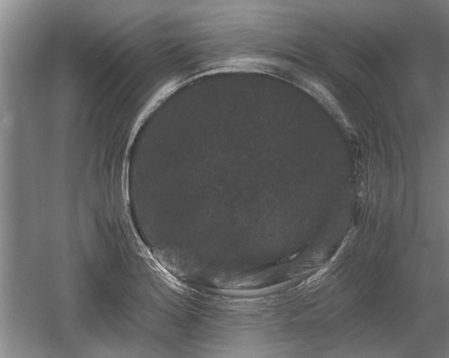 X0000060551180200511101529