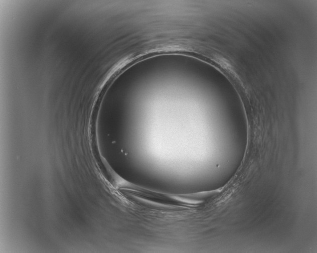 X0000060551181200511101529