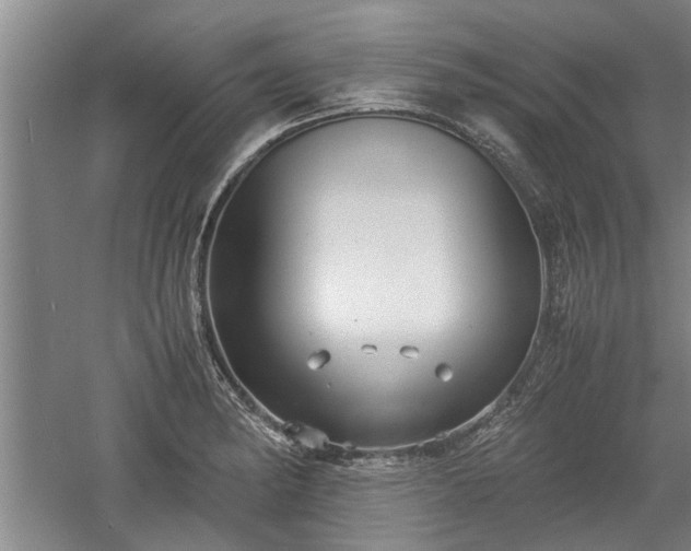 X0000060551182200511101529