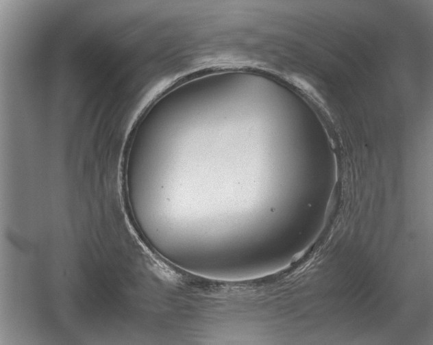 X0000060551183200511101529