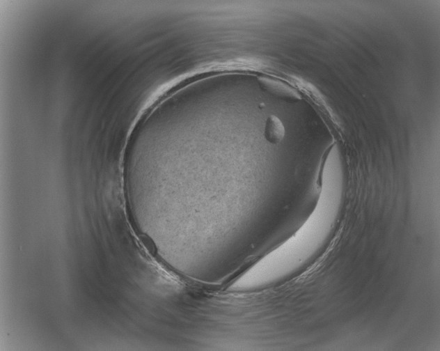 X0000060551184200511101529