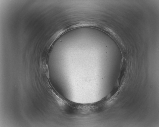 X0000060551185200511101529