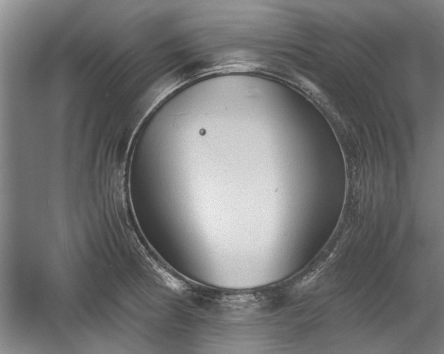 X0000060551186200511101529