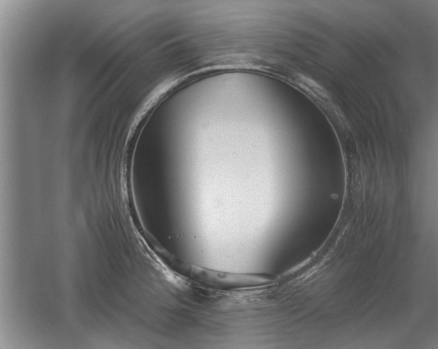 X0000060551188200511101529