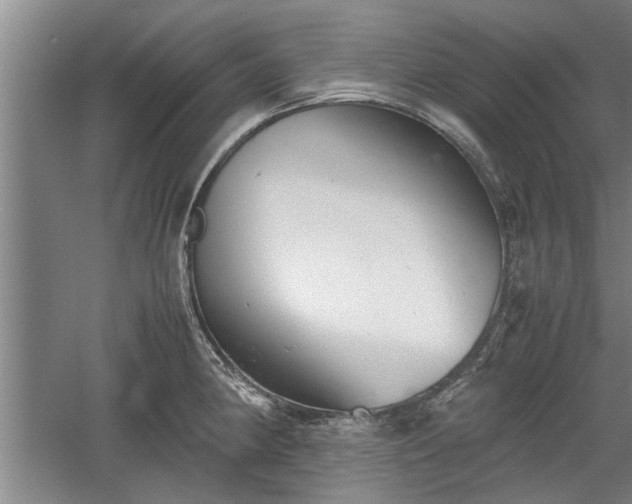 X0000060551190200511101529