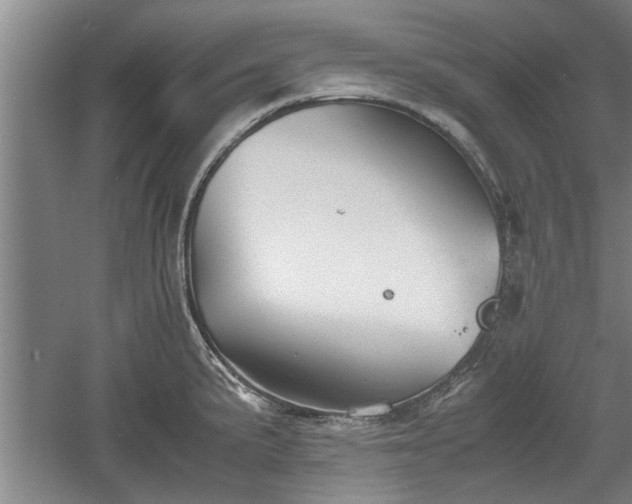 X0000060551191200511101529