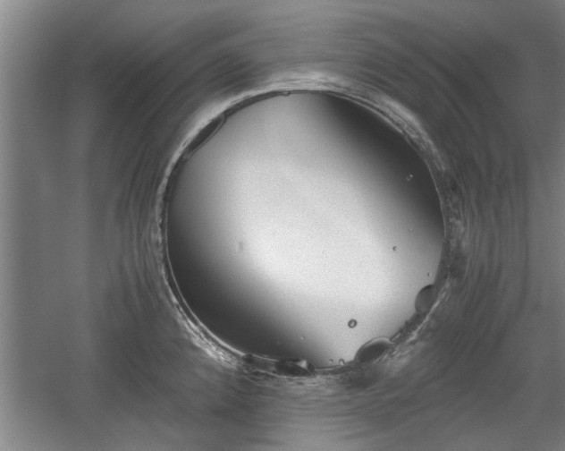 X0000060551192200511101529