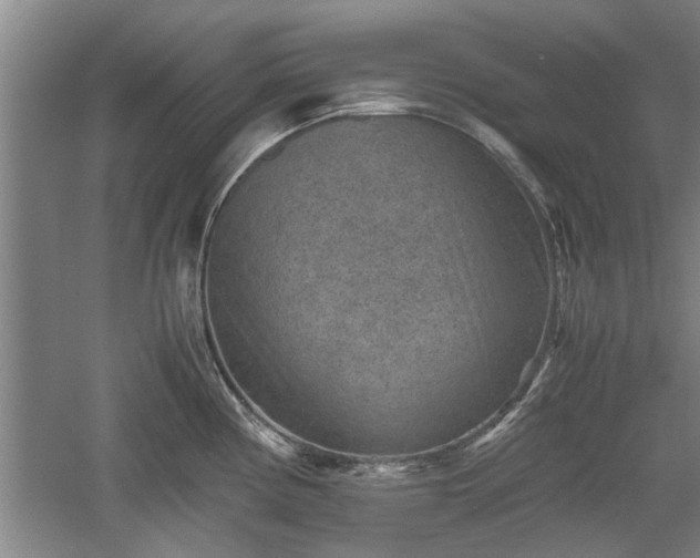 X0000060551194200511101529