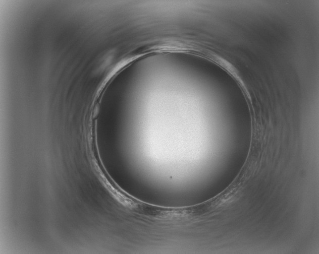 X0000060551195200511101529