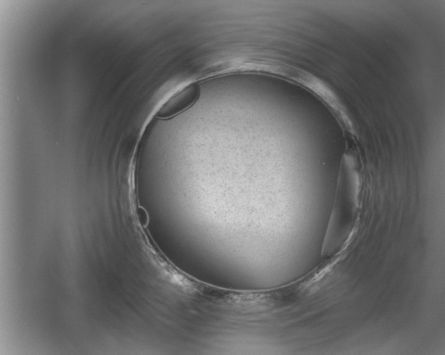 X0000060551198200511101529