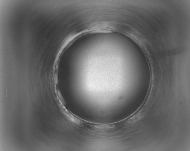 X0000060551200200511101529