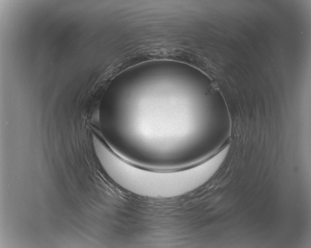 X0000060551202200511101528