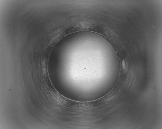 X0000060551203200511101528