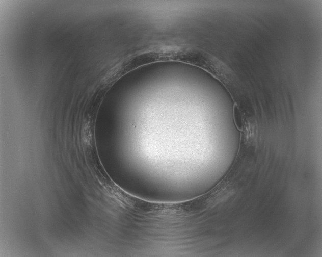 X0000060551204200511101528