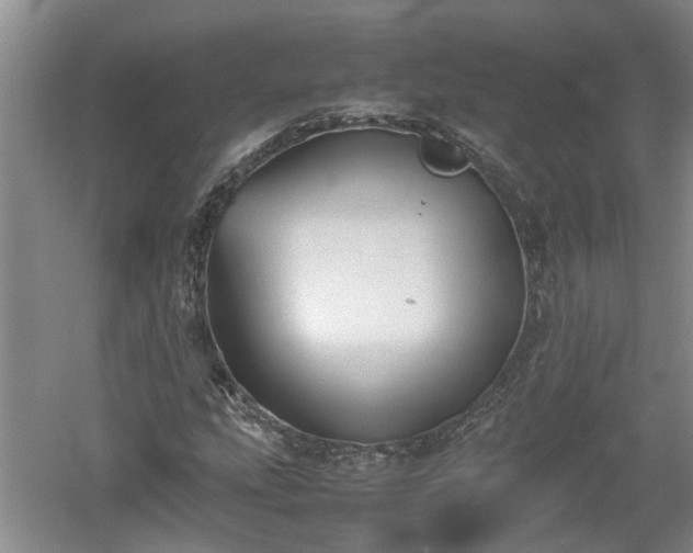 X0000060551207200511101528