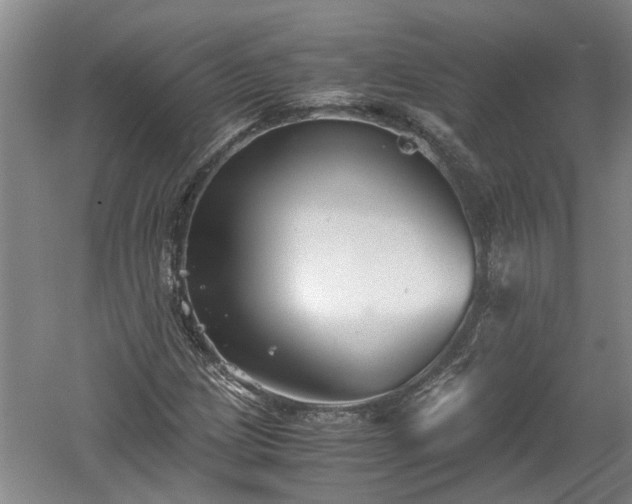 X0000060551209200511101528