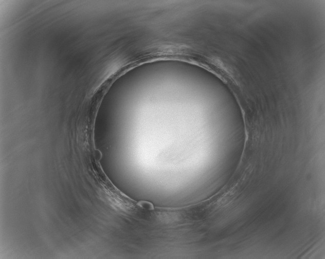 X0000060551211200511101528