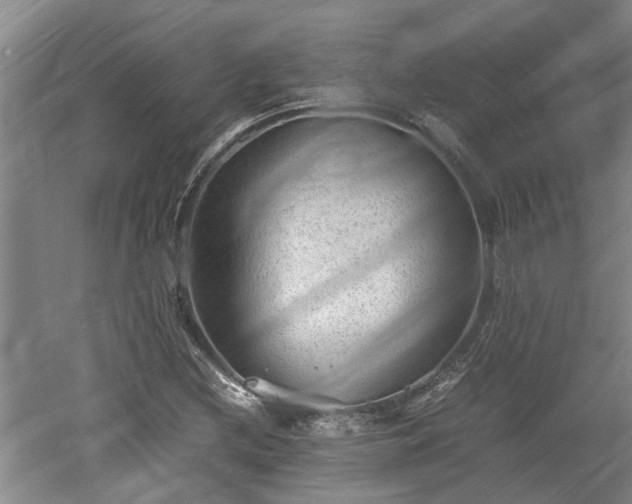 X0000060551212200511101528