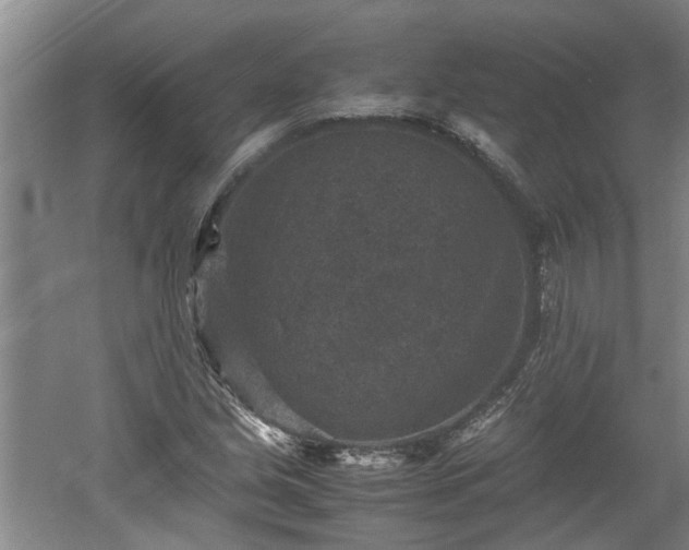 X0000060551213200511101528