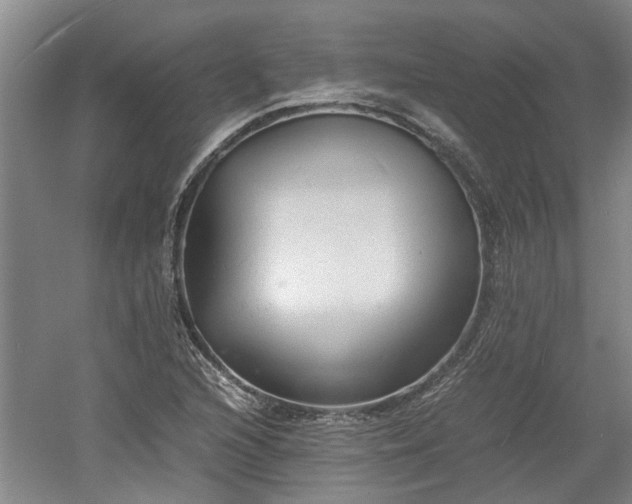 X0000060551216200511101528