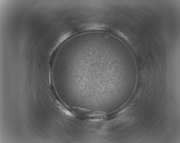 X0000060551219200511101528