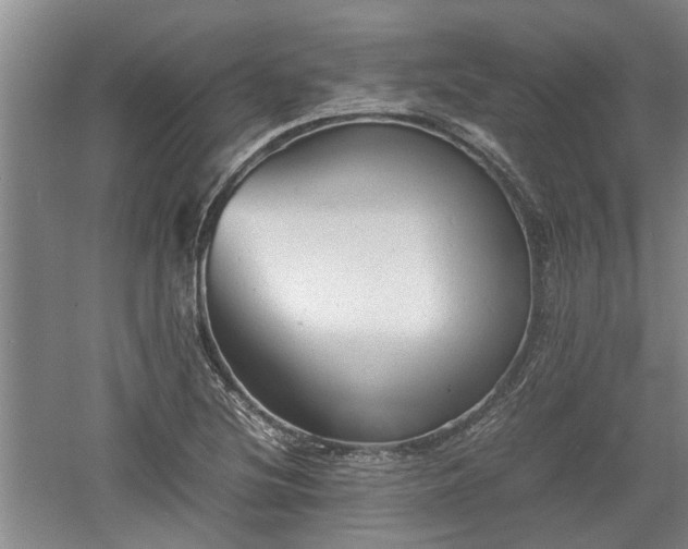 X0000060551220200511101528