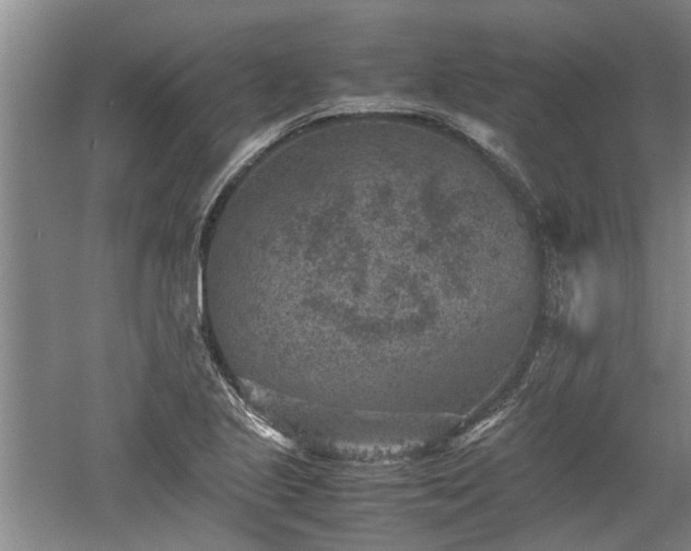 X0000060551221200511101528