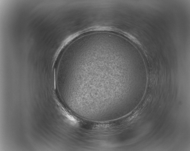 X0000060551223200511101529