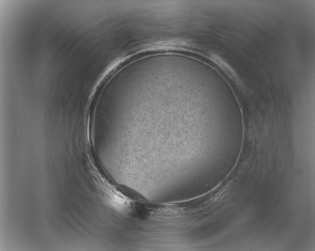 X0000060551224200511101529