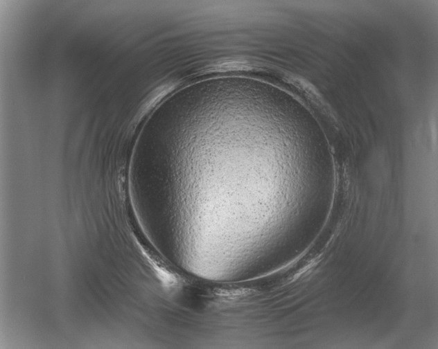 X0000060551225200511101529