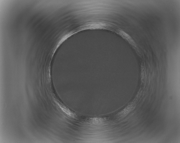 X0000060551226200511101529