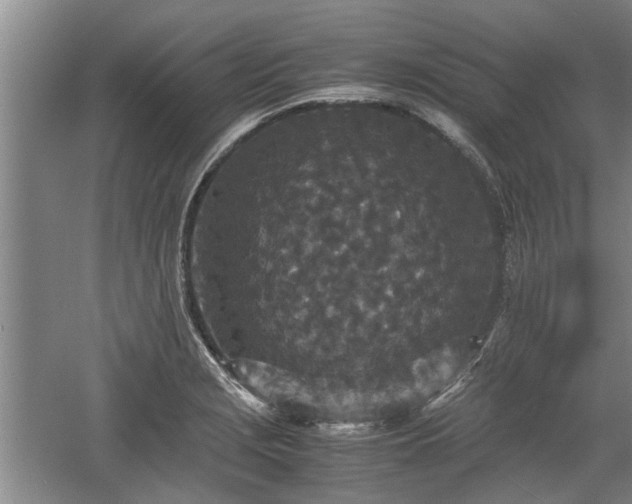 X0000060551229200511101529