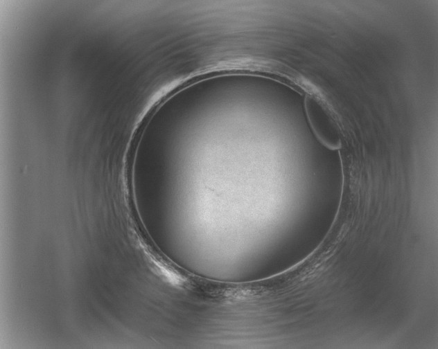 X0000060551230200511101529