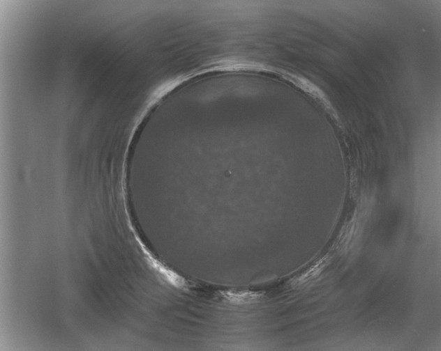 X0000060551231200511101529