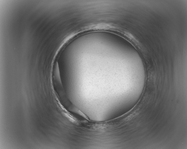 X0000060551232200511101529