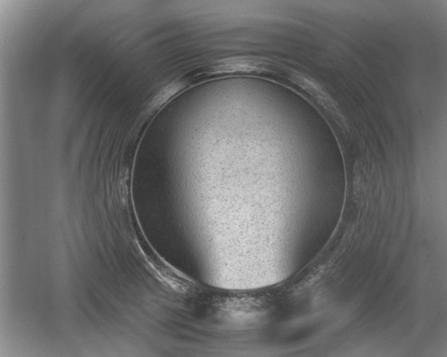 X0000060551233200511101529