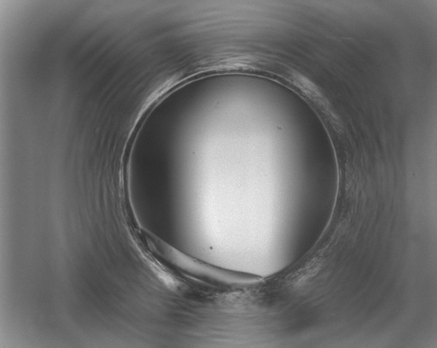 X0000060551234200511101529