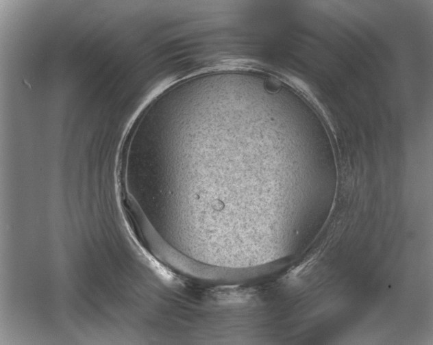 X0000060551235200511101529