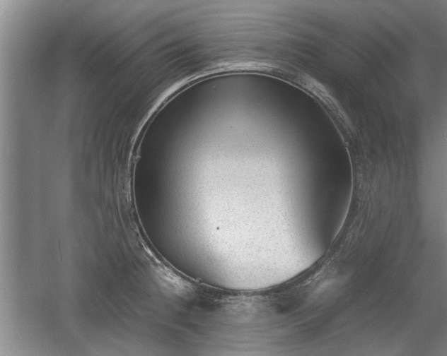 X0000060551236200511101529