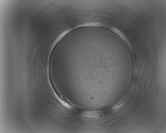 X0000060551237200511101529