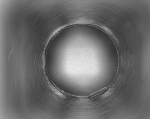 X0000060551238200511101529