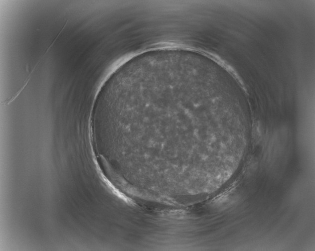 X0000060551239200511101529