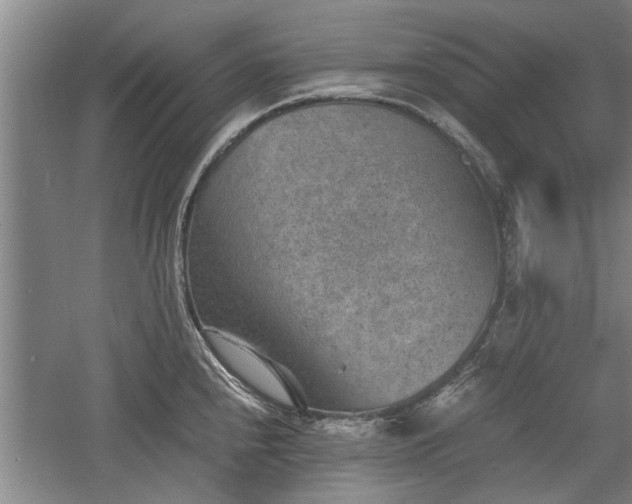 X0000060551240200511101529