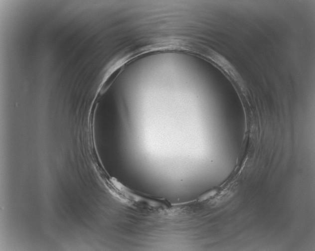 X0000060551242200511101529