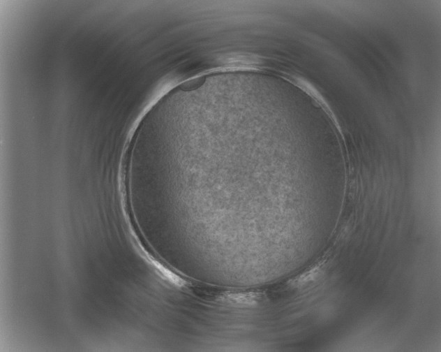 X0000060551243200511101529