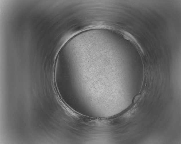 X0000060551244200511101529