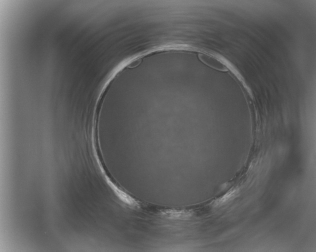 X0000060551245200511101529